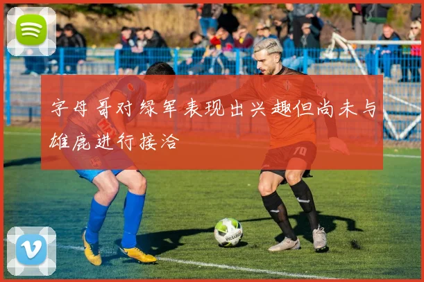 字母哥对绿军表现出兴趣但尚未与雄鹿进行接洽